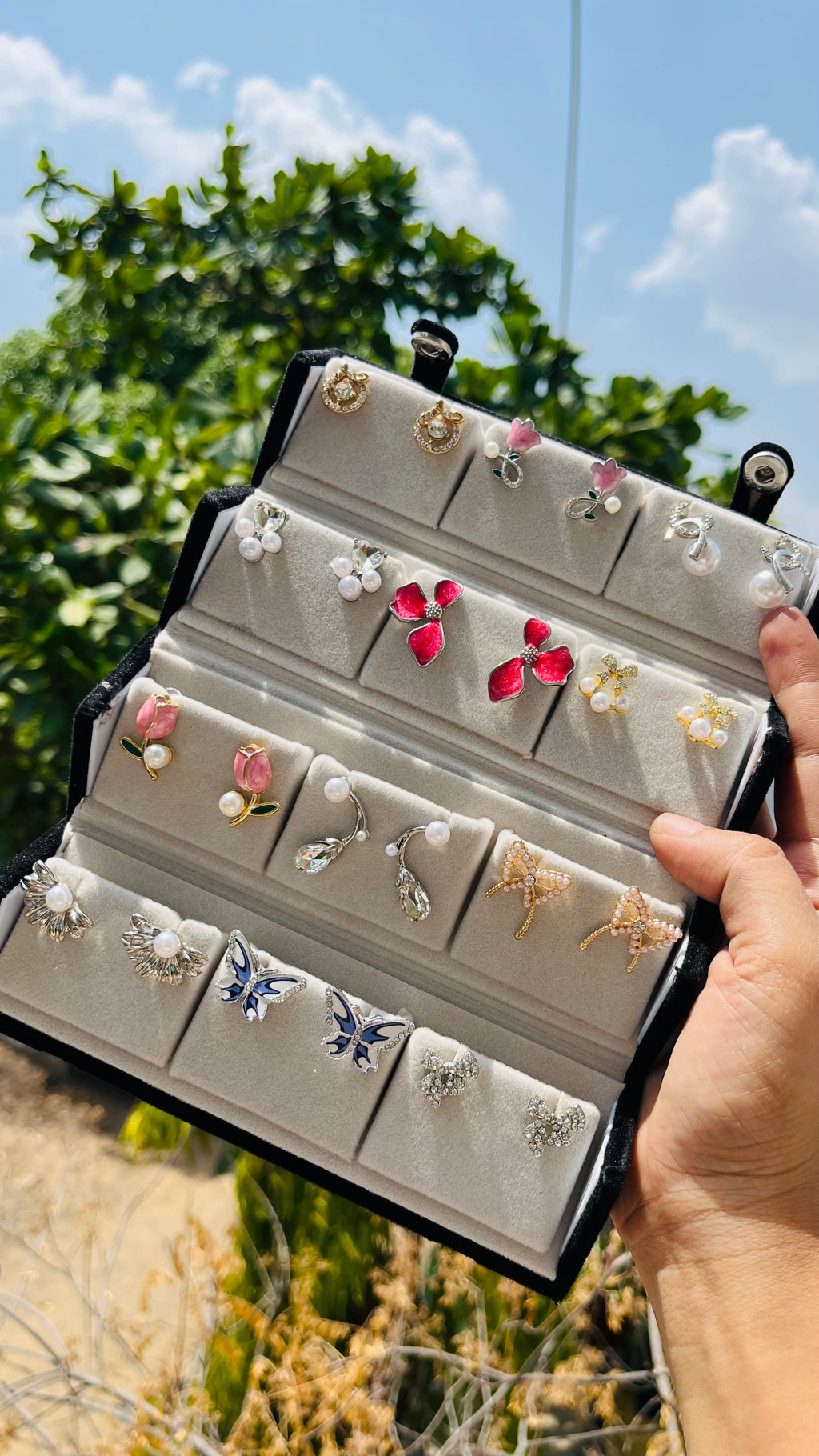 Earrings treasure box