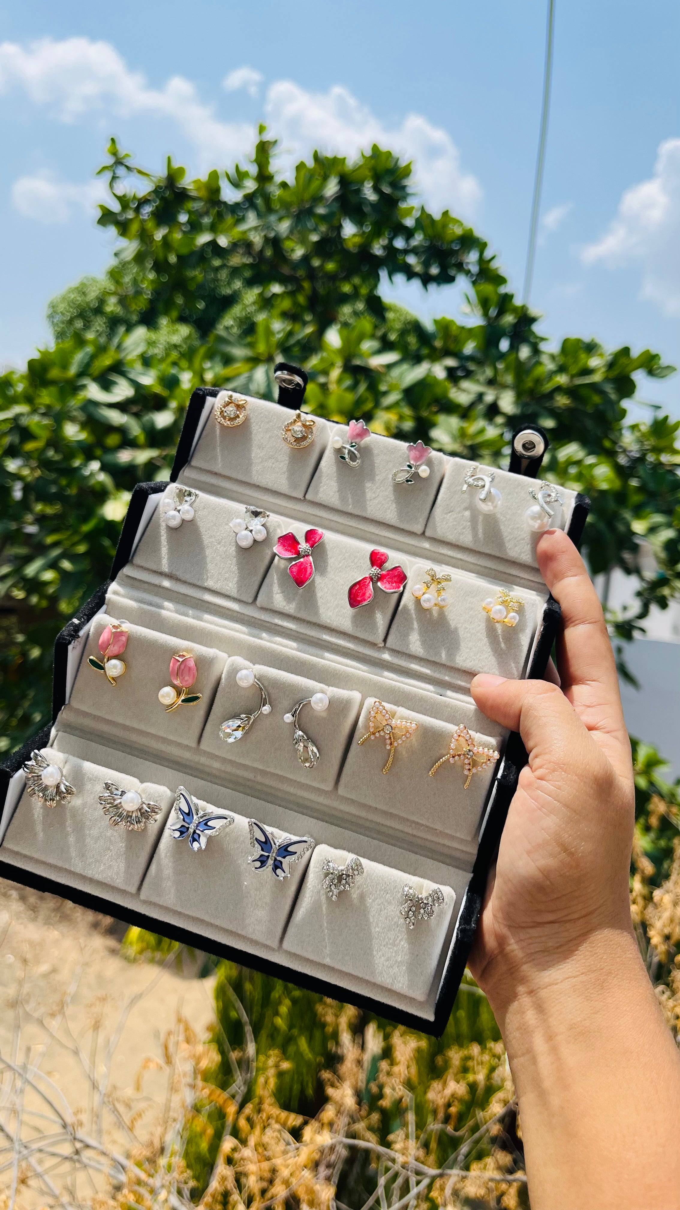 Earrings treasure box
